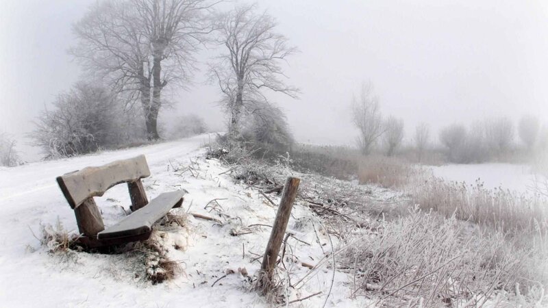 Broken Bench in Snow