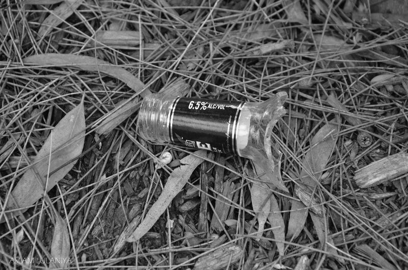 Broken bottle in forest debris