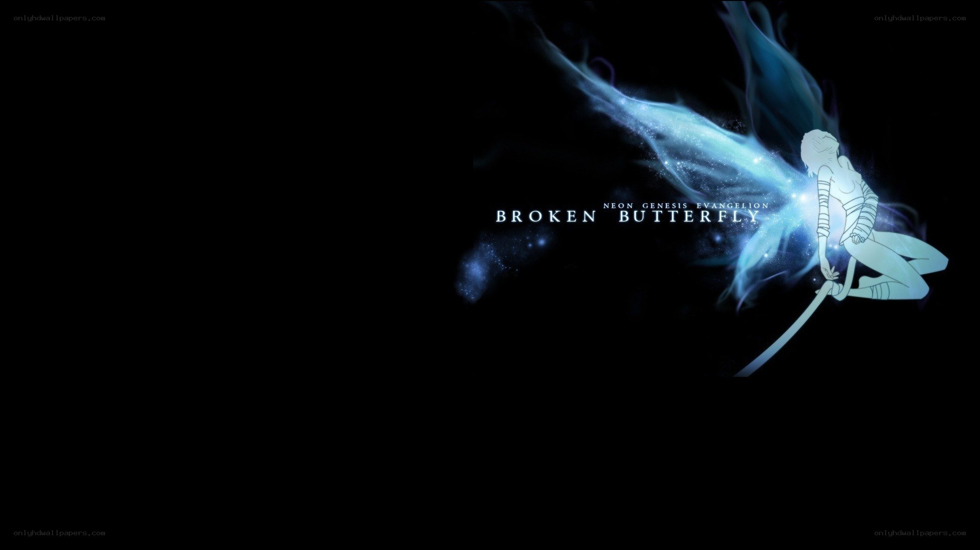 Broken Butterfly artwork