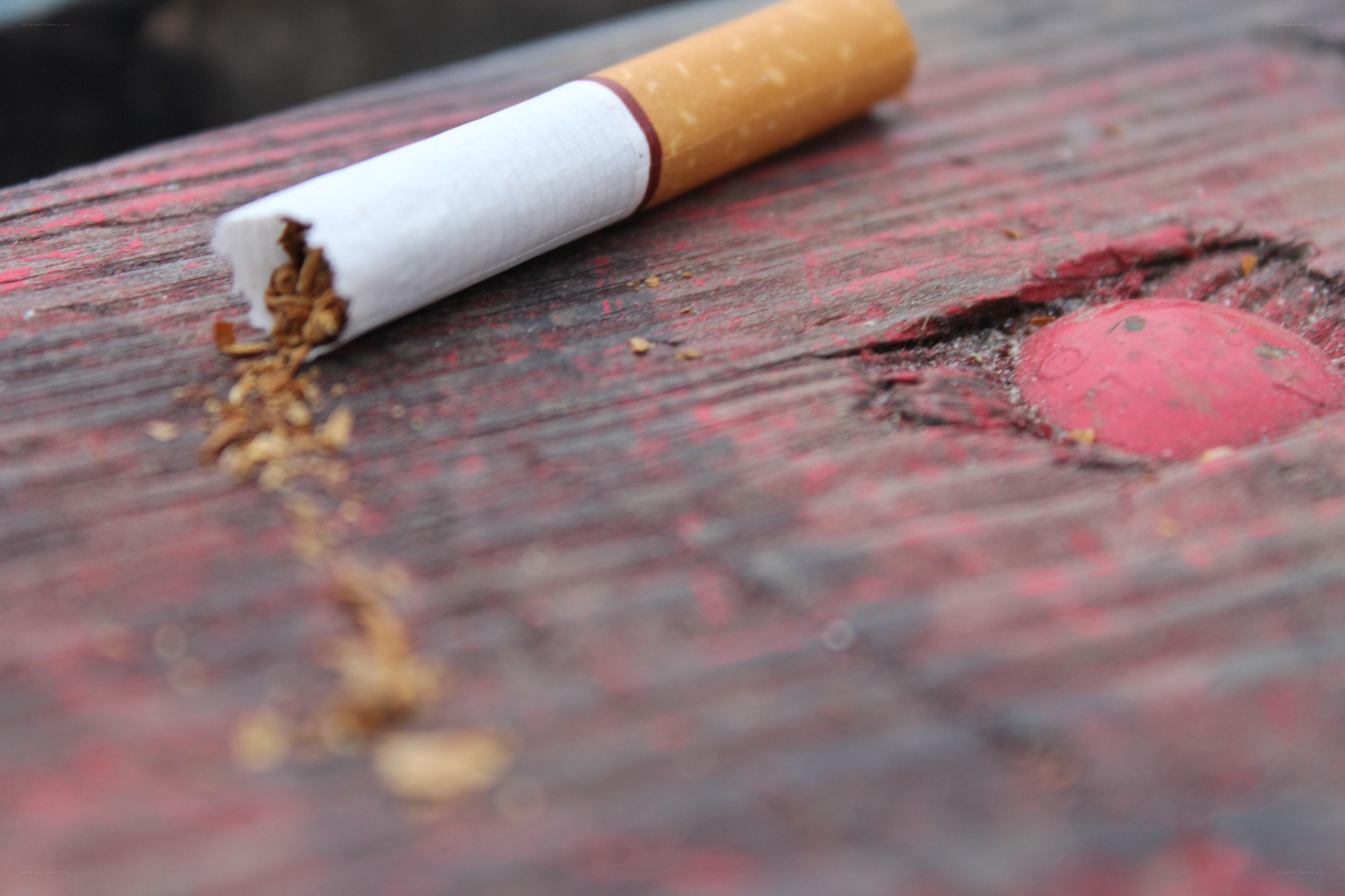 broken cigarette on wood