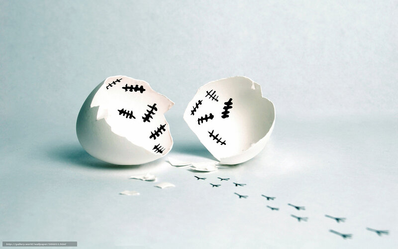 Broken eggshell with stitches
