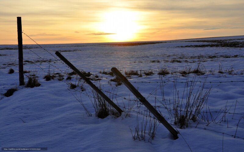 Broken Fence in Snow
