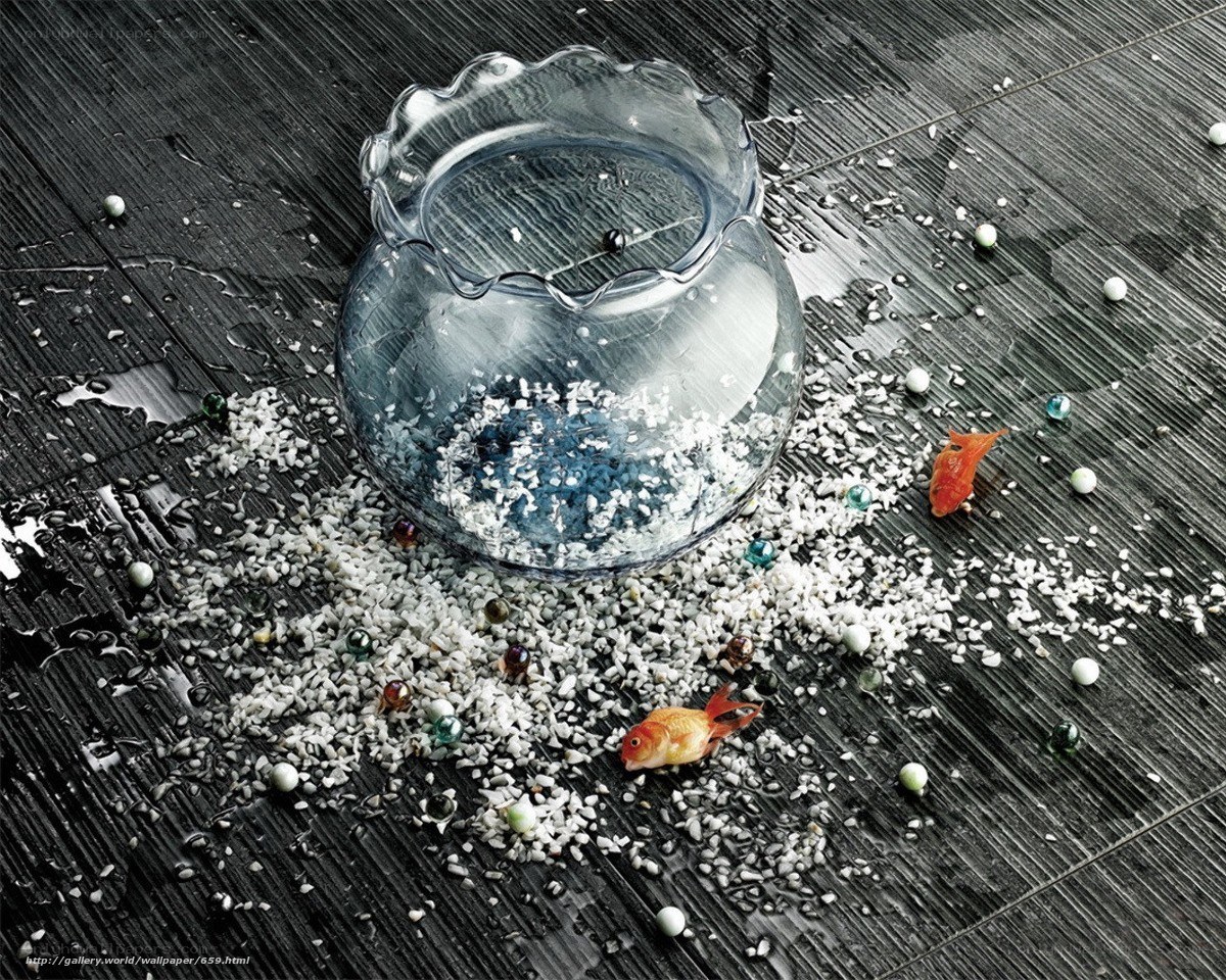 Broken Fishbowl Scene