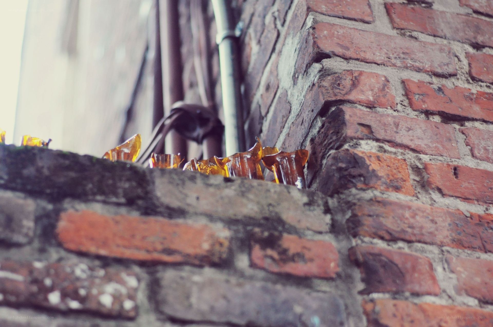Broken glass on brick wall