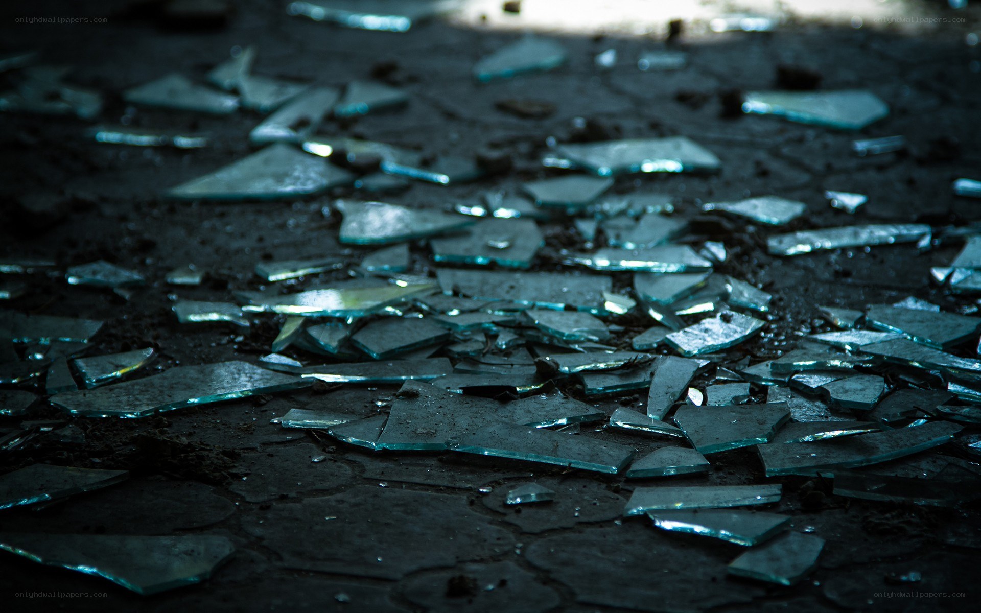 Broken glass on the ground