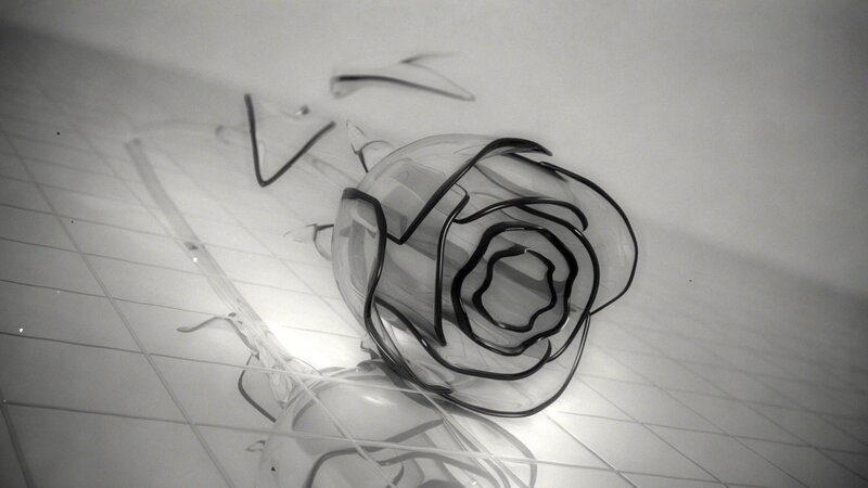 Broken Glass Rose