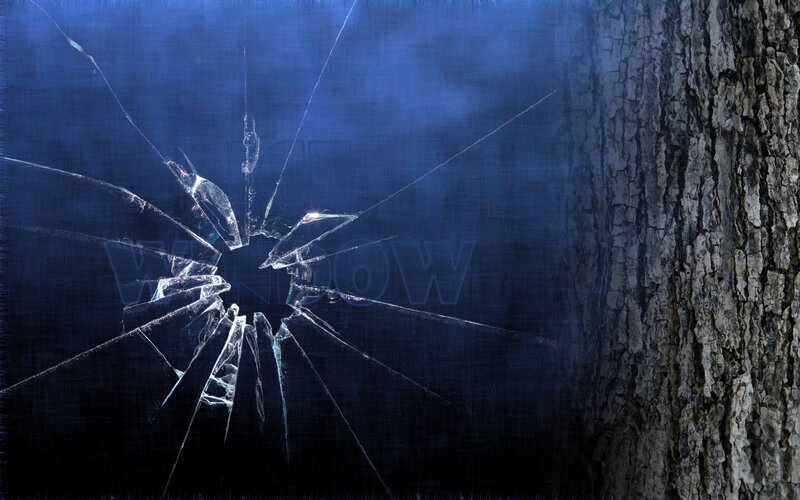 Broken glass window with tree