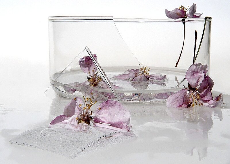 Broken Glass with Flowers