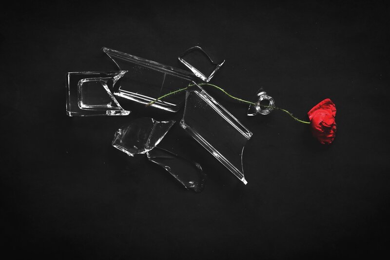 Broken Glass with Rose