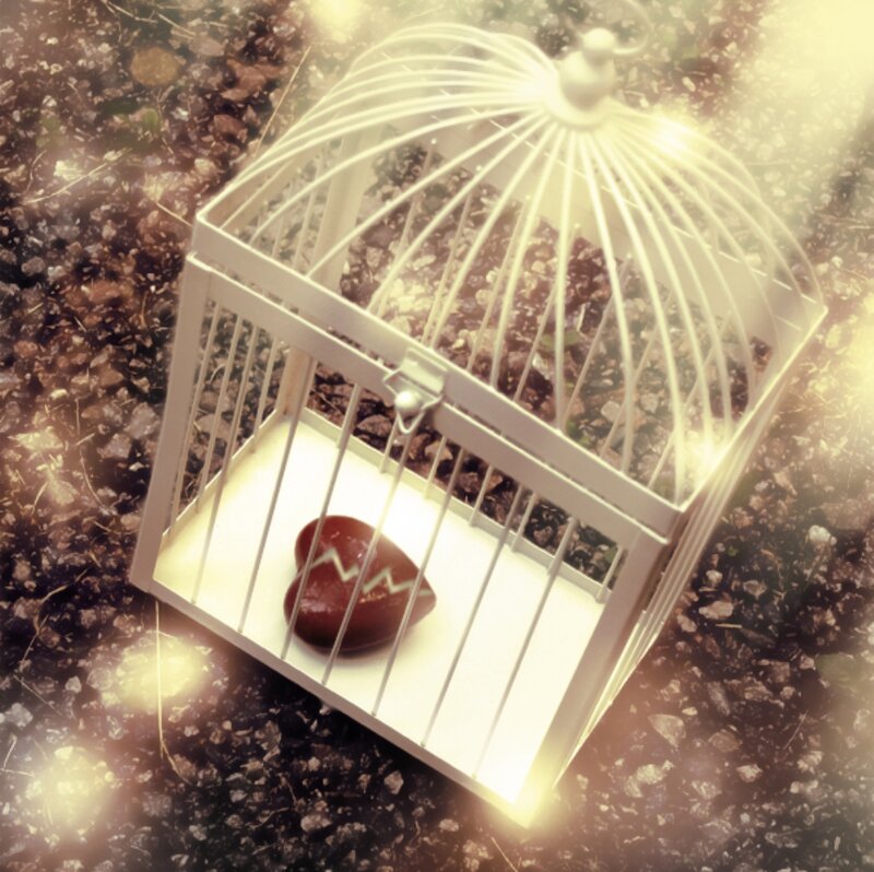 Broken Heart in Cage