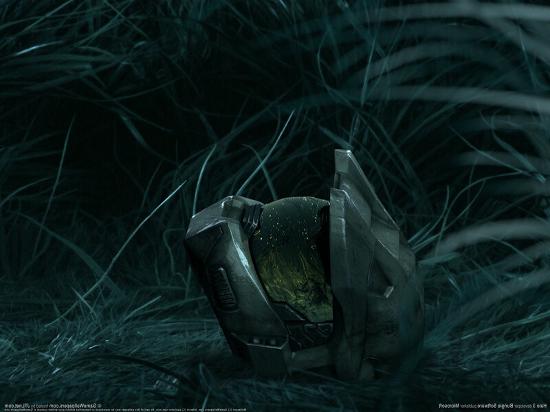 Broken Helmet in Grass — Green