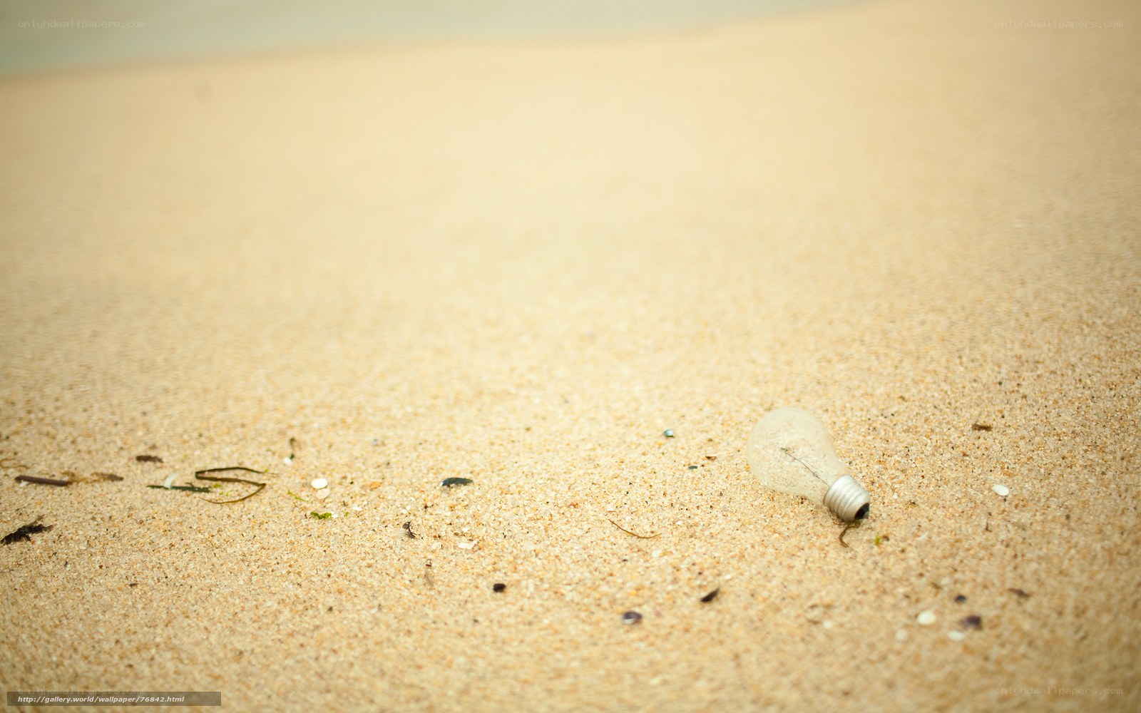 Broken light bulb on beach