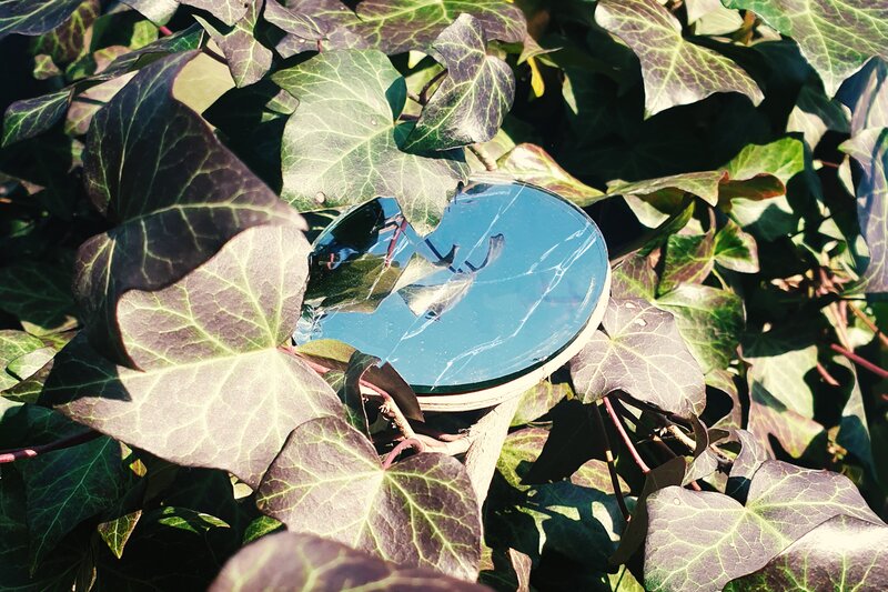 Broken Mirror in Ivy