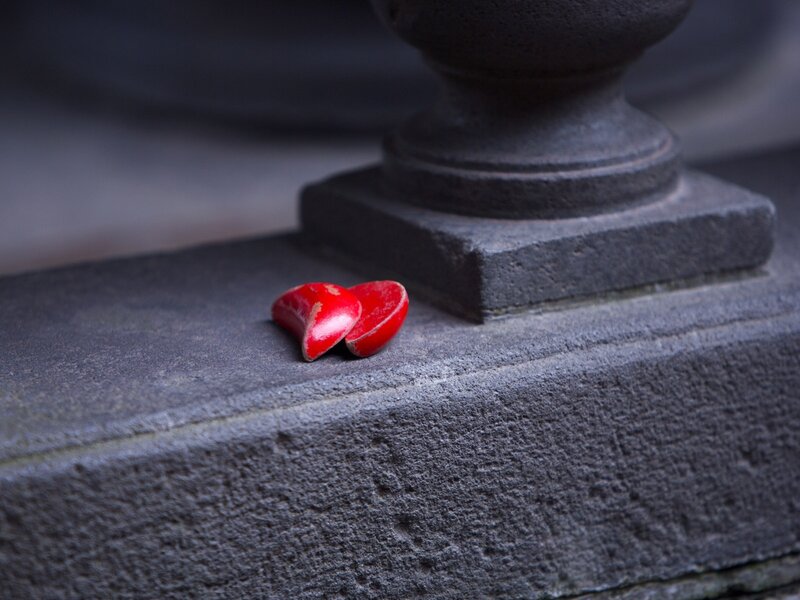Broken red heart on stone