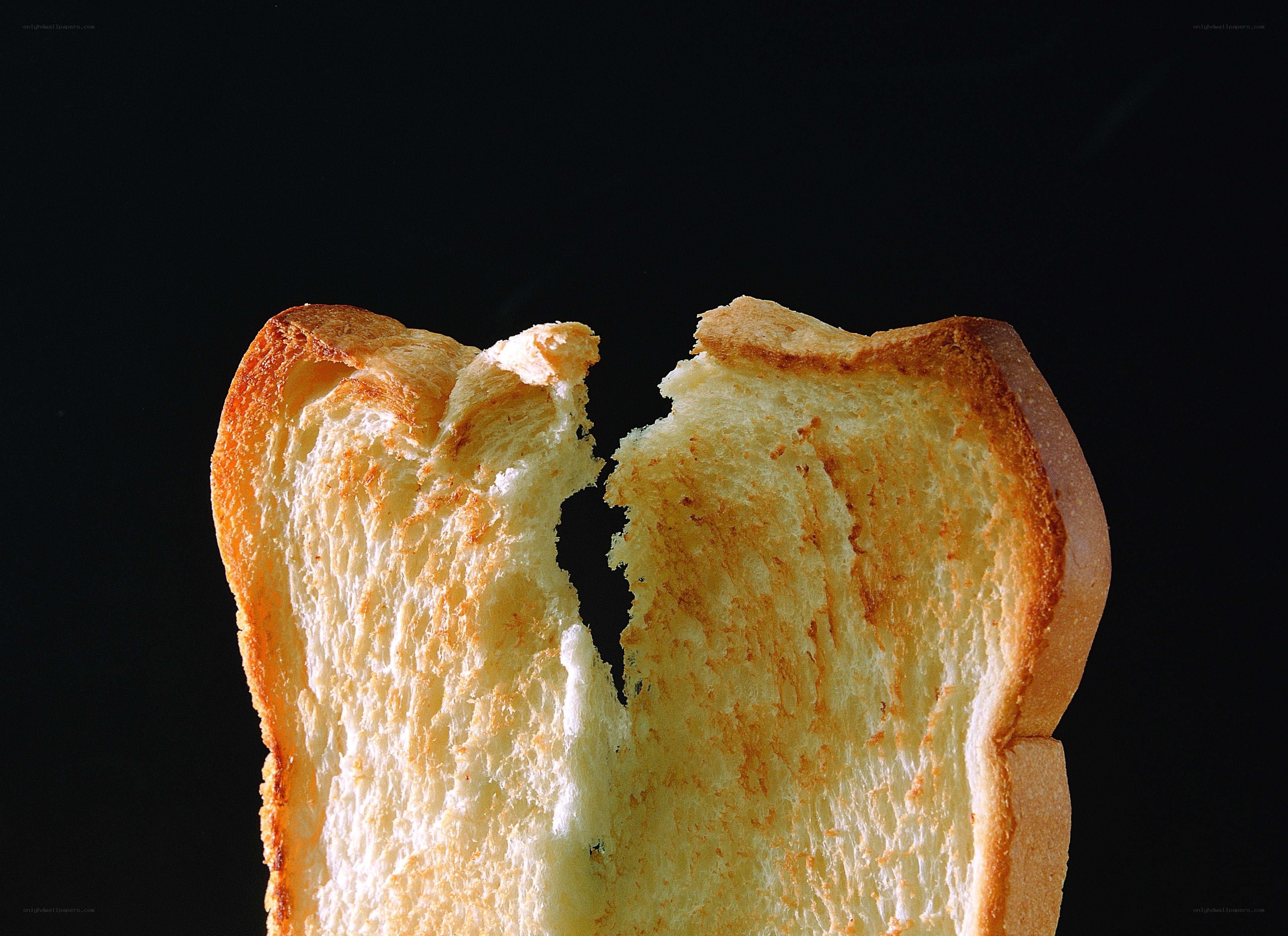 broken toast slice