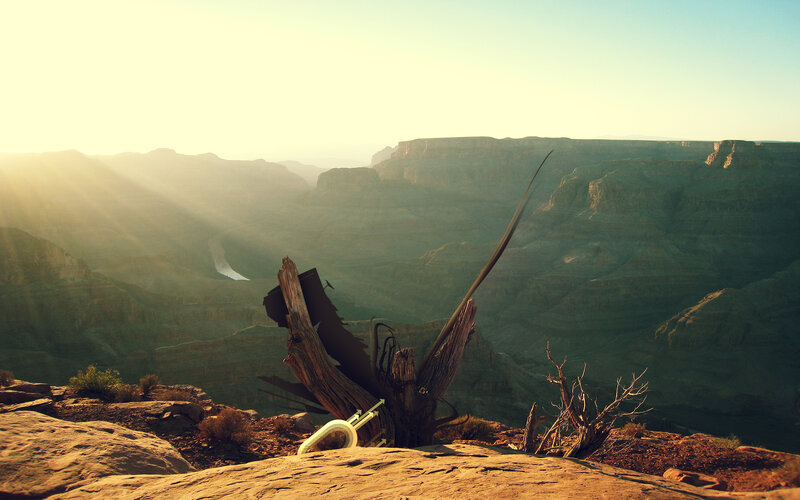 Broken Tree in Canyon