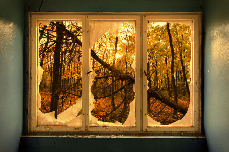 Broken Window in Forest