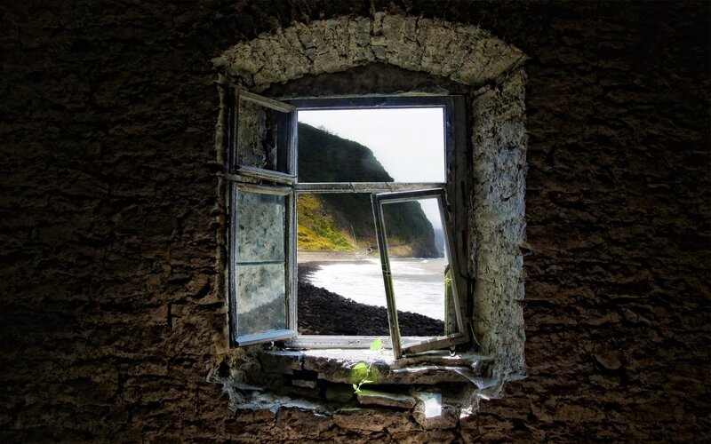 Broken Window View — Brown