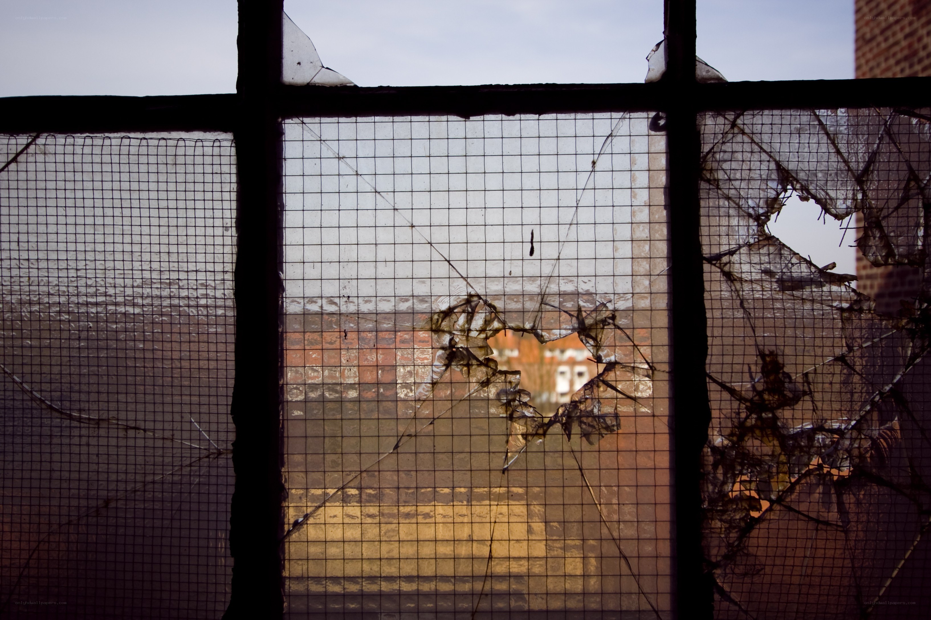 Broken window with mesh screen