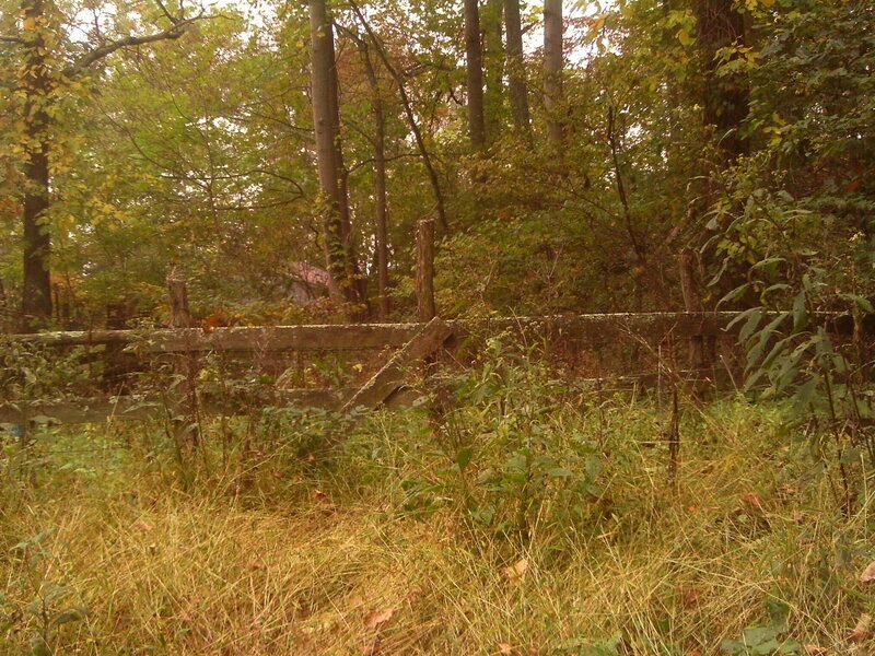 Broken Wooden Fence — Green