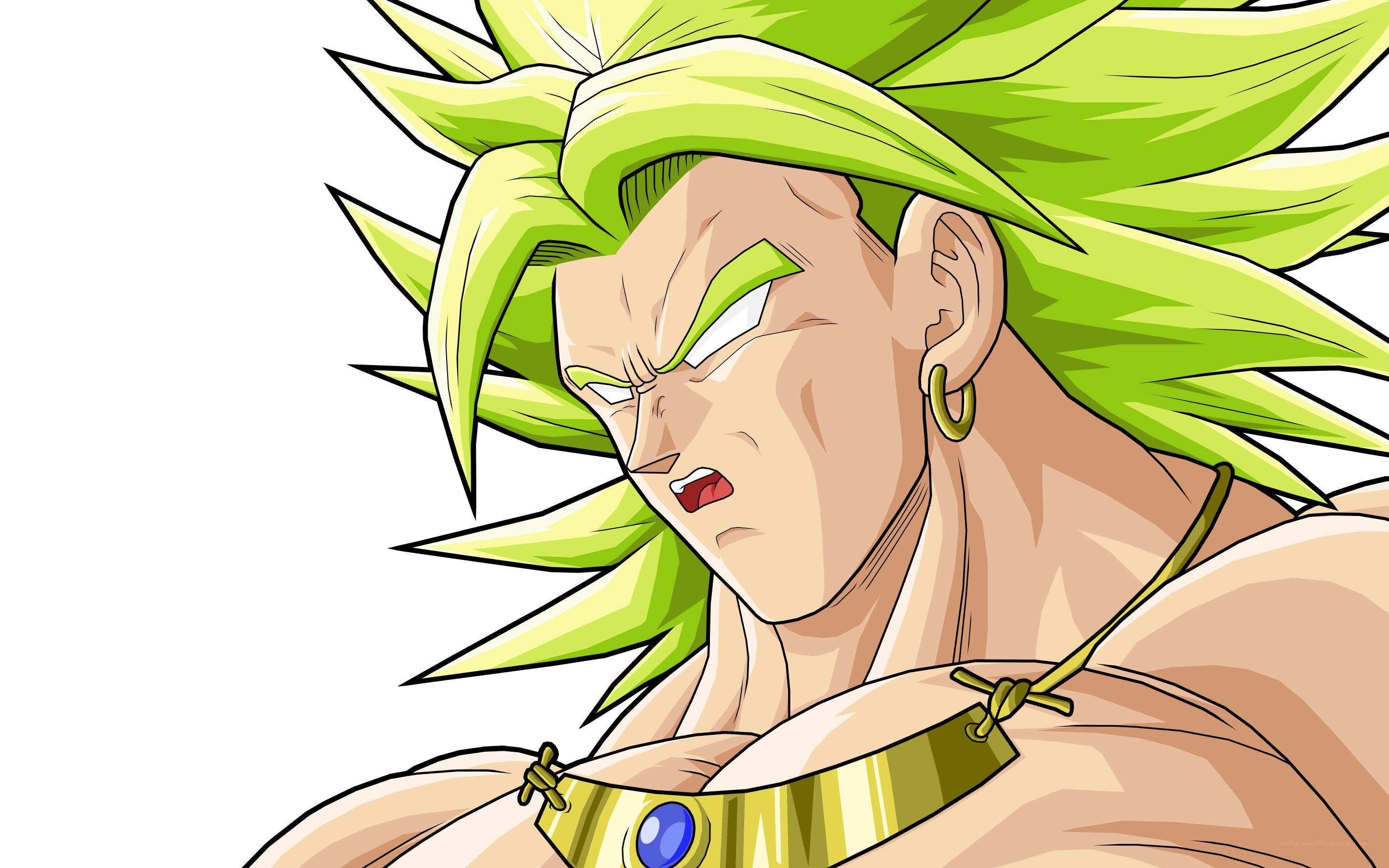 Broly in Super Saiyan form