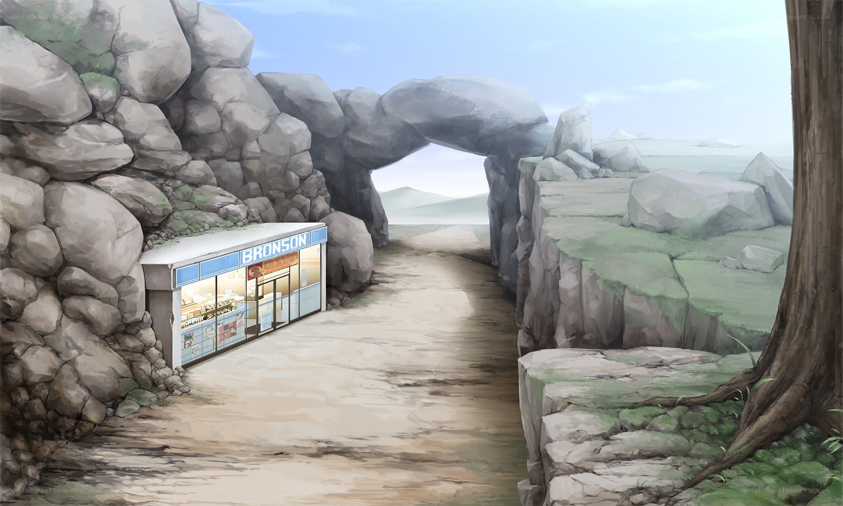 Bronson shop in a rocky canyon