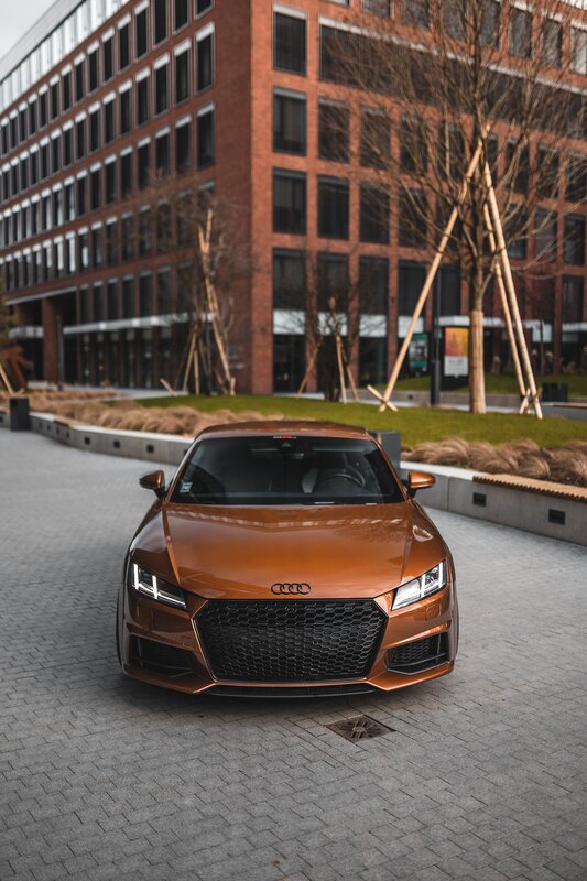 Bronze Audi TT Car