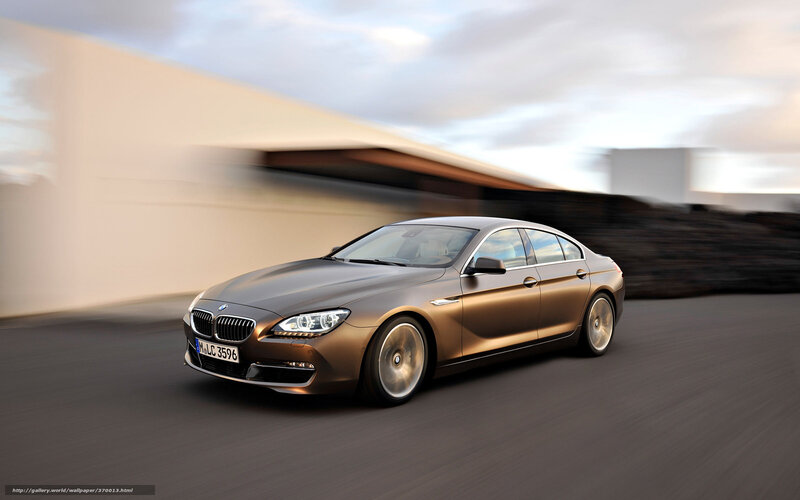 Bronze BMW 6 Series — Brown, Dynamic