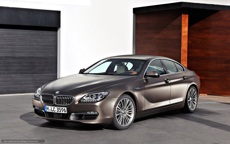 Bronze BMW 6-Series — Brown, Modern