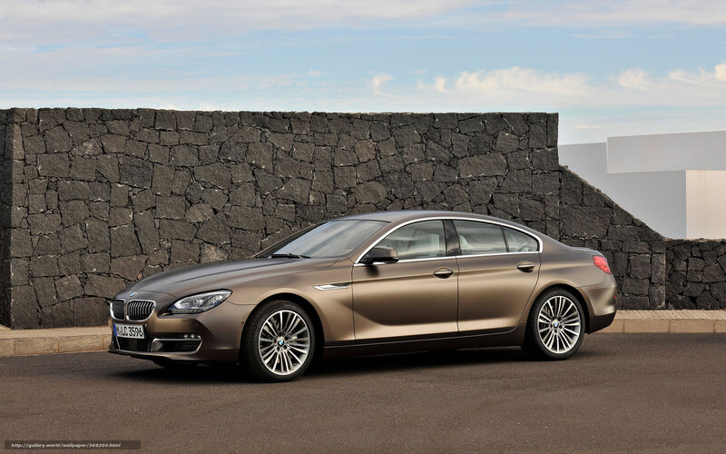 Bronze BMW 6-Series — Brown