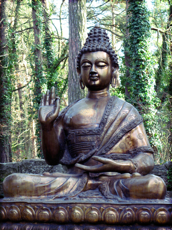 Bronze Buddha statue in forest