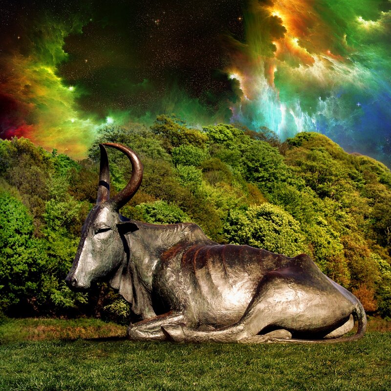 Bronze bull statue in forest