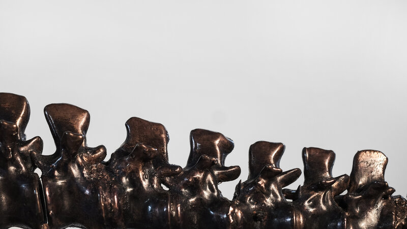 Bronze Spine Sculpture