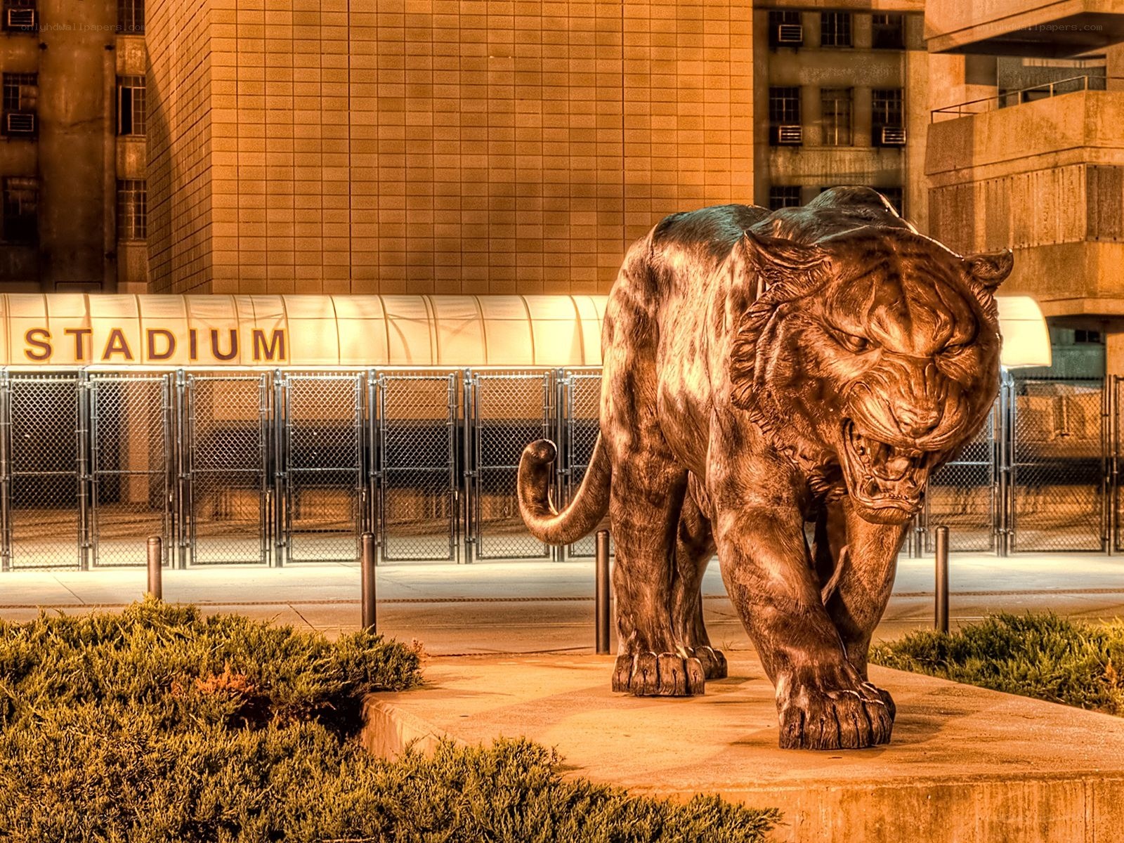 Bronze tiger statue at stadium