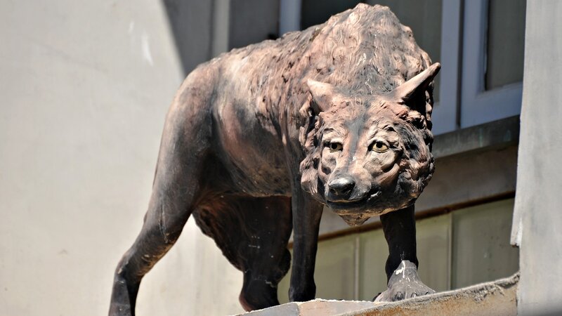 Bronze wolf statue