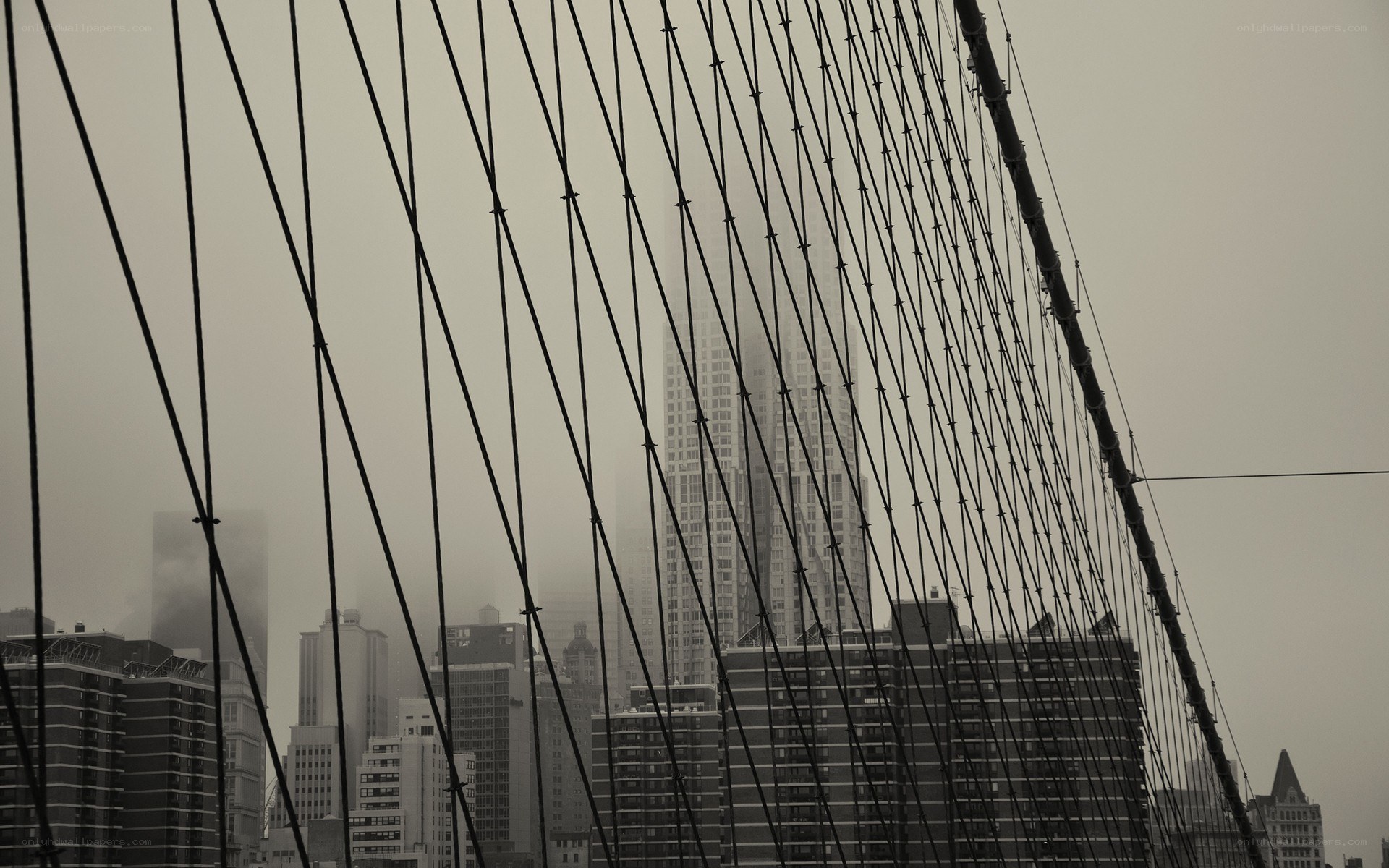 Brooklyn Bridge cables in fog