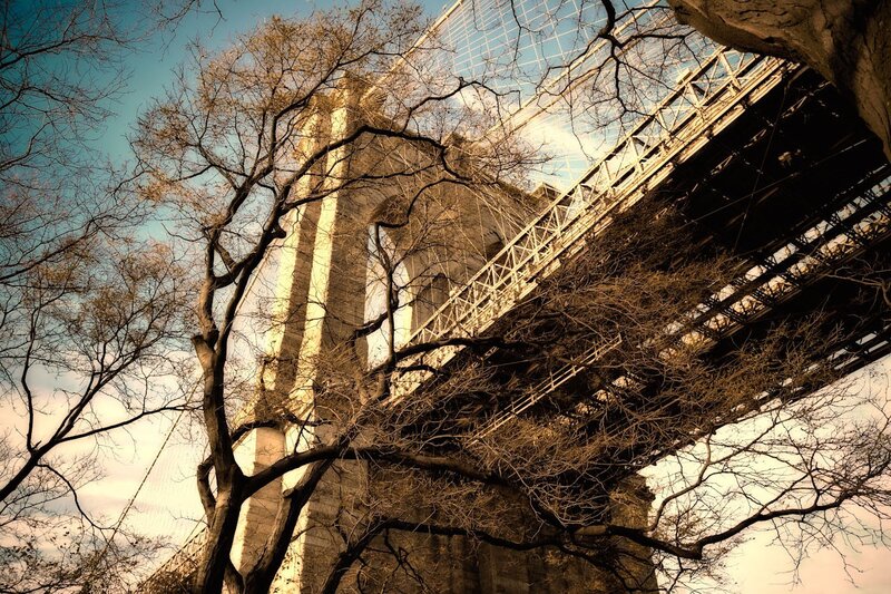 Brooklyn Bridge through bare trees
