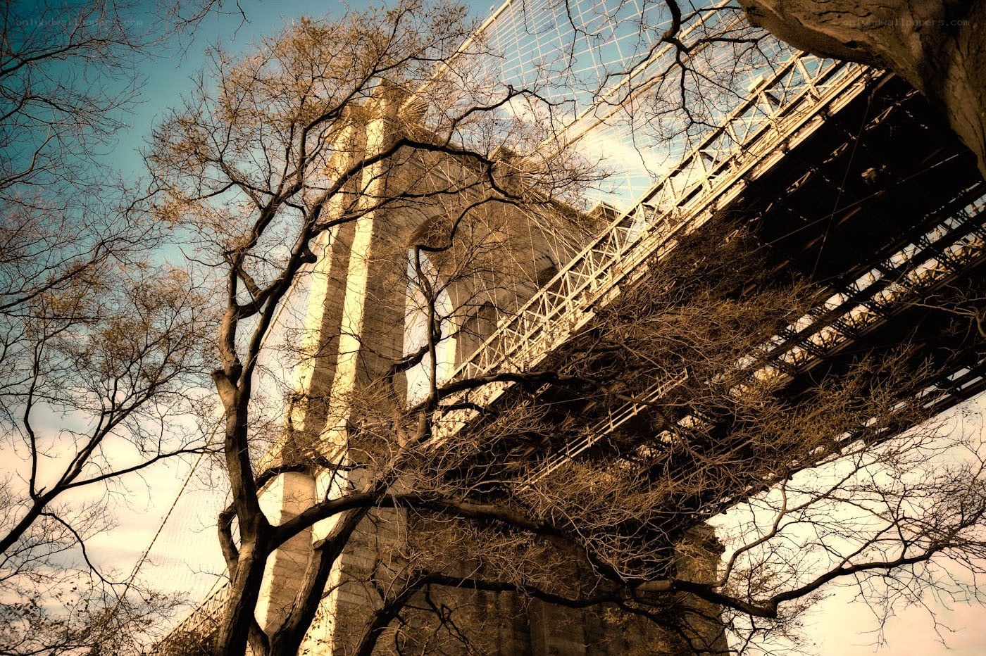 Brooklyn Bridge through bare trees