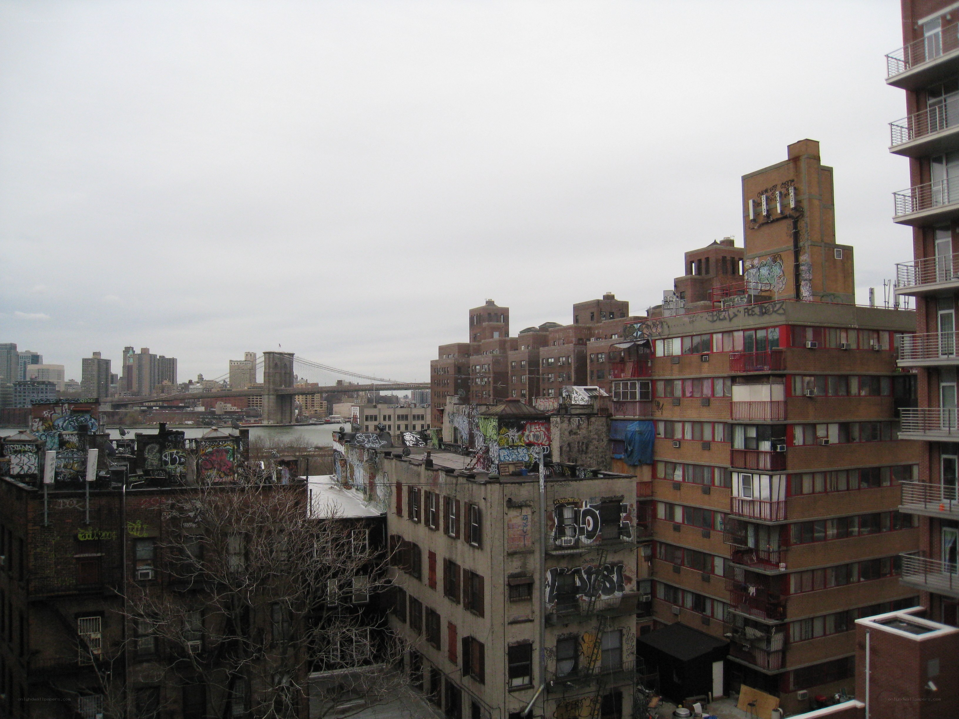 Brooklyn skyline with graffiti buildings