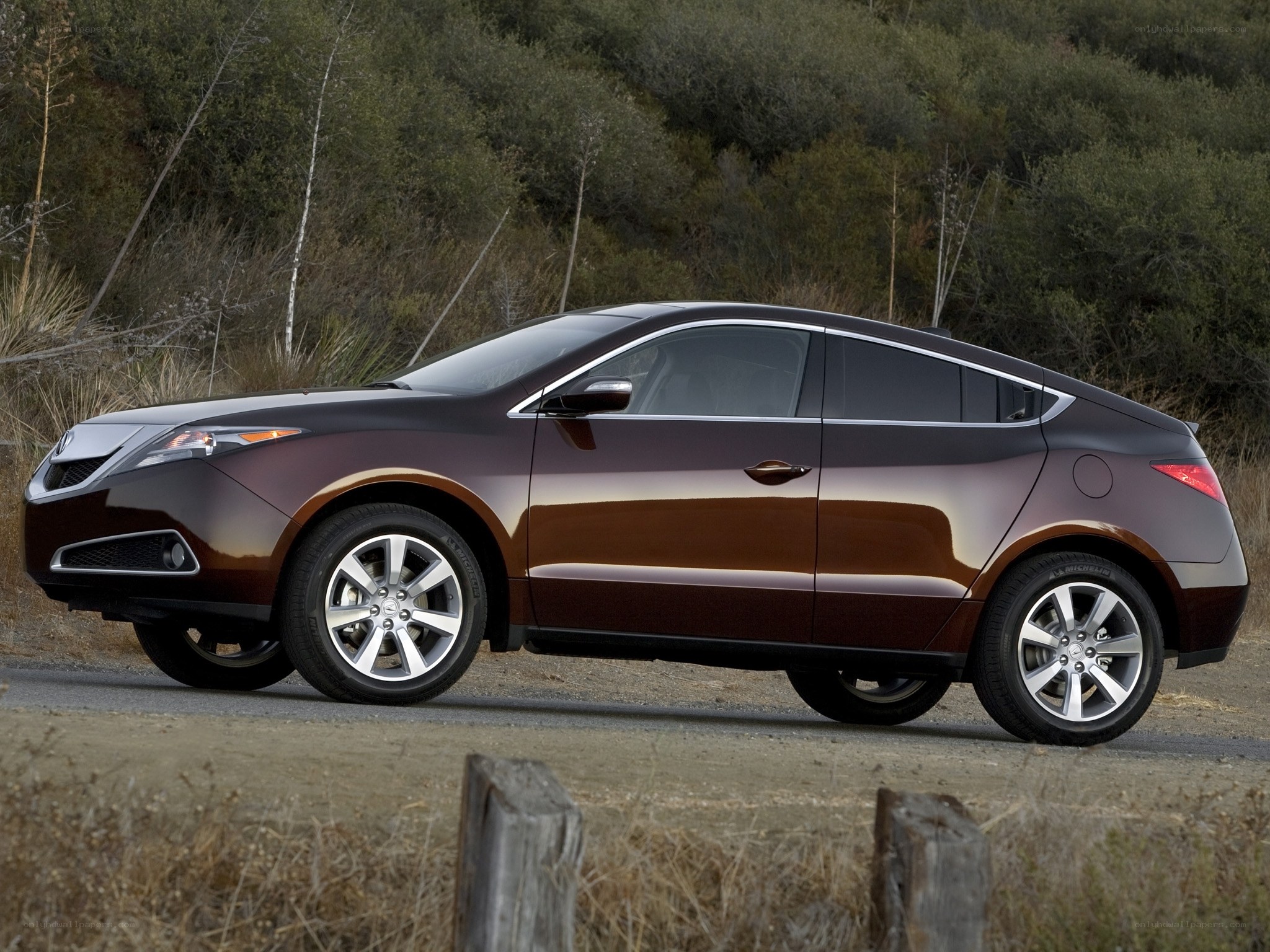 brown acura zdx suv