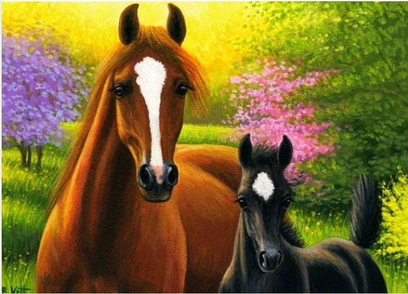 Brown and Black Horses — Green