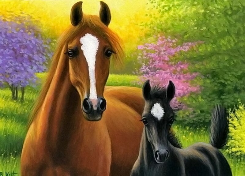 Brown and Black Horses