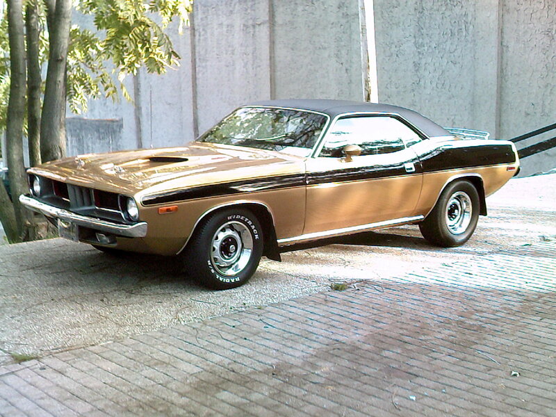 Brown and Black Muscle Car