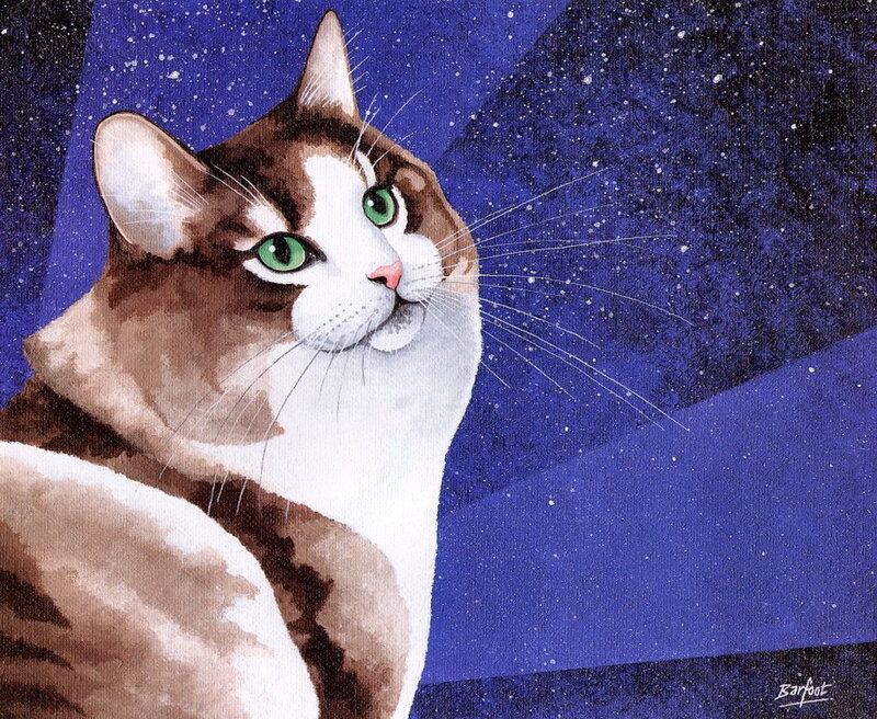 Brown and White Cat — Blue, Calm