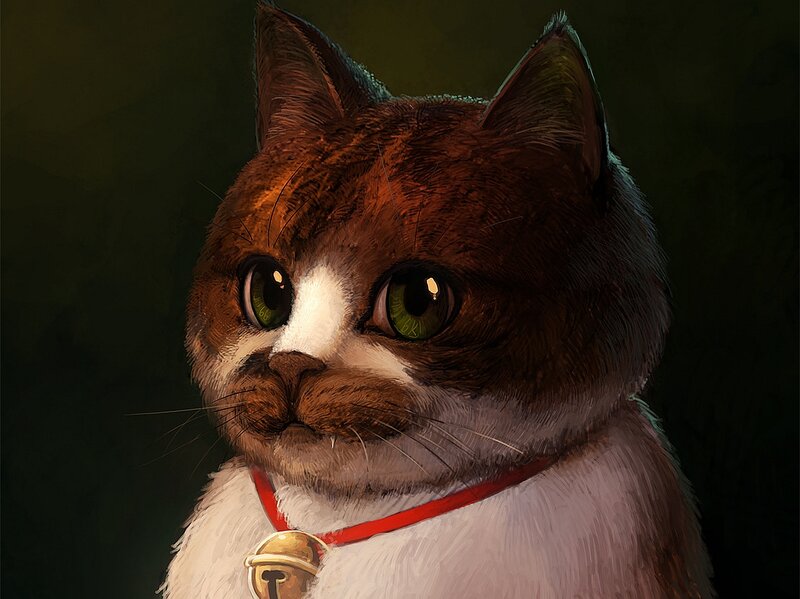 Brown and White Cat — Dramatic