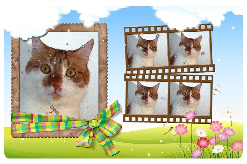 Brown and White Cat — Green, Cheerful