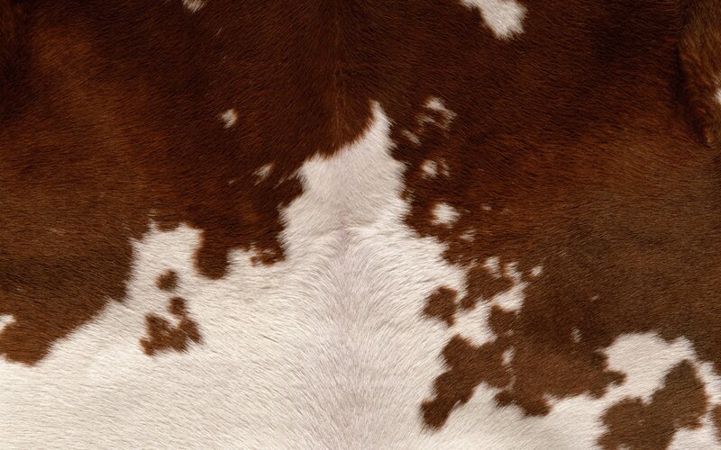 brown and white cowhide pattern