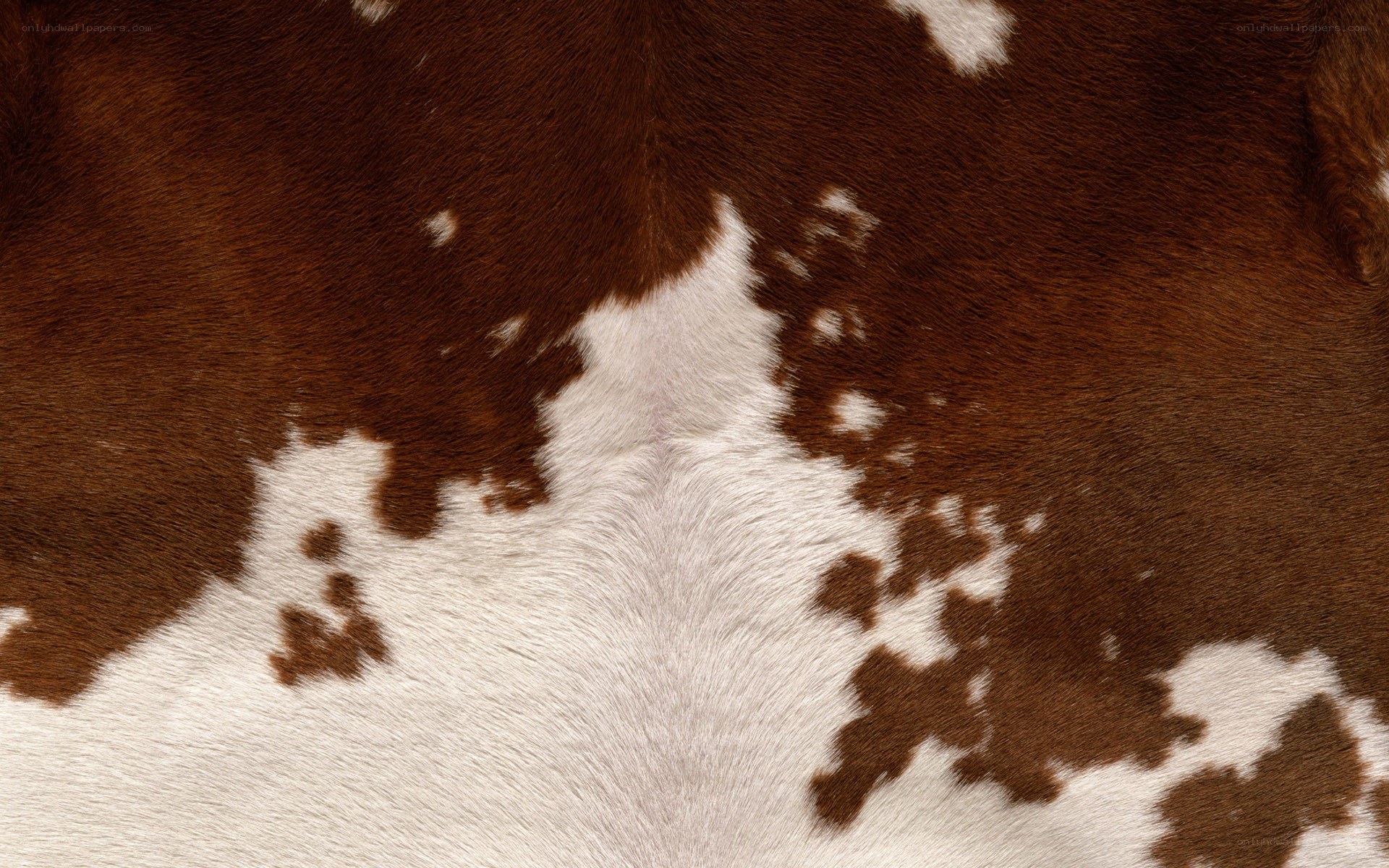 brown and white cowhide pattern