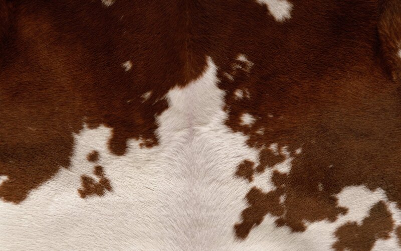 brown and white cowhide pattern