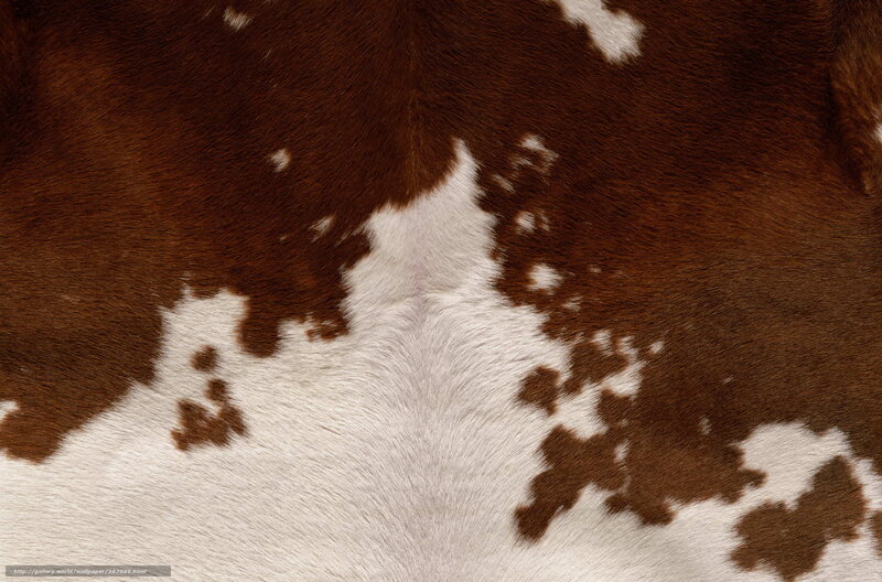 brown and white cowhide texture